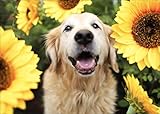 BELLCAT Dog Sunflower Diamond Painting - Golden Retriever Diamond Painting Kits, Full Coverage,...