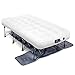 Ivation EZ-Bed (Twin) Air Mattress with Frame & Rolling Case, Self Inflatable, Blow Up Bed Auto Shut-Off, Comfortable Surface AirBed, Best for Guest, Travel, Vacation, Camping