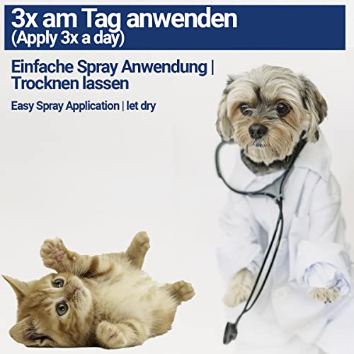 BMUT 1x 100ml Kolloidales Silberspray für Haustiere – Hund, Katze, Pferd – Wundspray – Gegen Juckreiz– Milben – 40 ppm