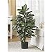Nearly Natural 3ft Zebra Silk Plant