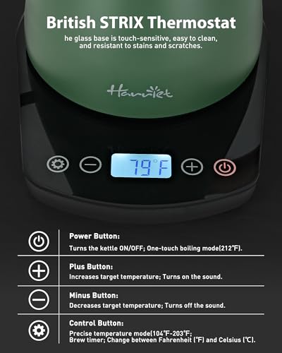 Electric Kettle with Temperature Control