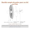 Amazon Basics Ventilateur sur Pied 40 cm avec Télécommande, pour Chambre, Salon, Bureau, 3 Vitesses, 3 Modes, Minuterie, Pales Double Couche, Hauteur Réglable, Tête Inclinable, 60W, Noir
