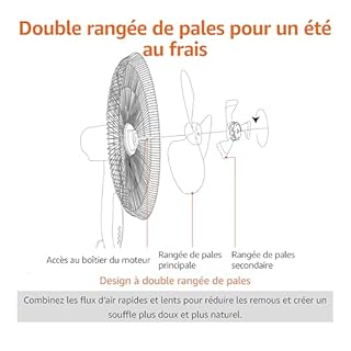 Amazon Basics Ventilateur sur Pied 40 cm avec Télécommande, pour Chambre, Salon, Bureau, 3 Vitesses, 3 Modes, Minuterie, Pales Double Couche, Hauteur Réglable, Tête Inclinable, 60W, Noir