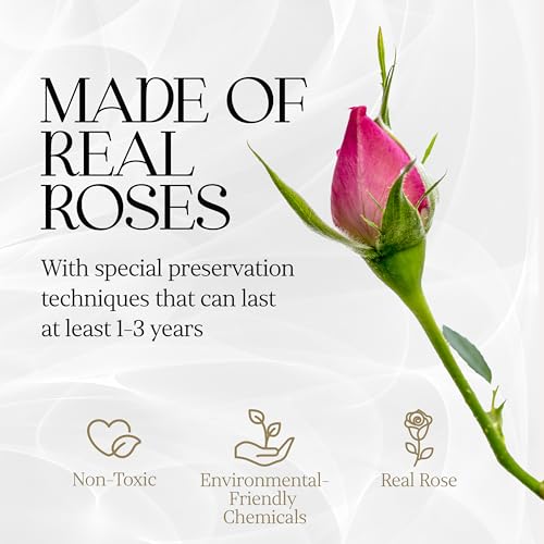 Image of GLAMOUR BOUTIQUE 7 Flower Forever Heart Shape Box, Mothers Day Gift For Mom, Eternal Preserved Roses Gift for Her, Flowers bouquet, For Birthday, Anniversary, Girlfriend - Pink