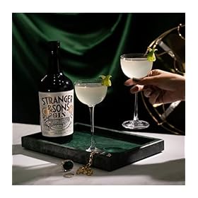 Stranger & Sons Gin, Premium Indian Spirited Aromatic Citrussy Dry Gin – 42.8% ABV, 70cl