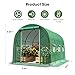 Walk-in Tunnel Greenhouse，Portable Plant Hot Housewith Dual Zippered Screen Doors & 6 Screen Windows Heavy Duty Plastic Plant Warm House with Reinforced Frame (12x7x7 FT)