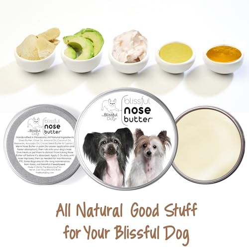 Image of The Blissful Dog Chinese Crested Unscented Nose Butter, 2-Ounce