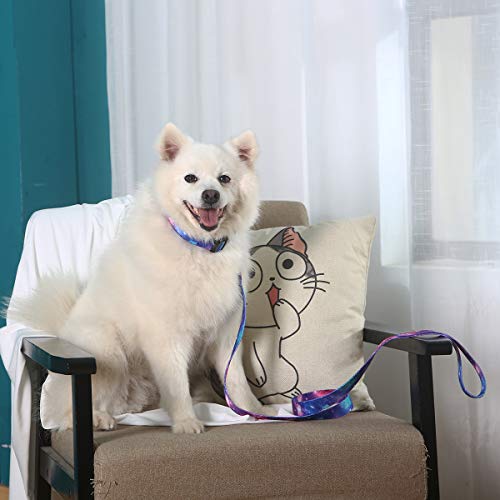 Impoosy 2Pcs Cat Dog Collar And Galaxy Leash Set Pet Gift Adjustable Dogs Space Collars For Small To Large Pets (Large) #TOP6