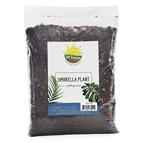 Top 16 Best Soil For Tropical Plants In 2023 Features, Reviews, and FAQs