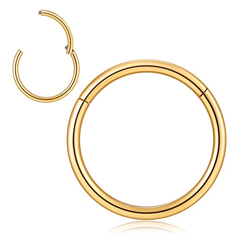 Afftiny 1PCS 18G 5mm Small Helix Rings for Women Men Gold Seamless Hinged Ring Titanium Surgical Steel Clicker Endless Segment Hoop Earrings Cartilage Piercing Jewelry