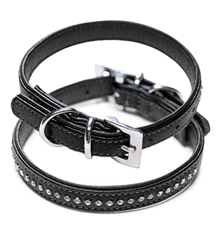 Hundehalsband aus Echt-Leder mit Strasssteinen/Kristall besetzt – funkelndes Hunde und Katzen Halsband aus gepolsterten und doppellagigen Büffelleder - Lederhalsband Audrey (M (24.5-32.5cm), Schwarz)