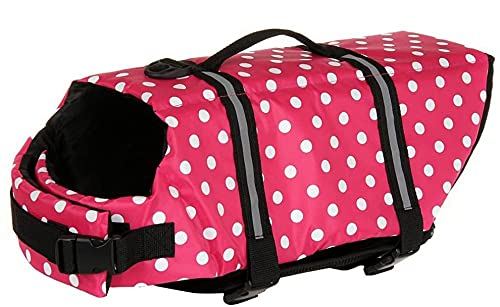 Izefia hbOCtWPbg jSR[g t[eBOCtxXg CtZ[o[ nht ^ q ^(sNhbgAS)