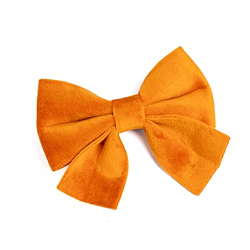 Fluffy Tailers Orange Velvet Luxury Adjustable Dog Collar Bowtie Comfortable Dog Collar with Detachable Bow Tie & Safety Buckle - Image 4