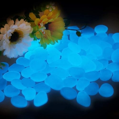 Image of Radium Glossy Stone Decorative Aquarium and Vase Fillers Pebbles for Garden Home in Dark Glowing Stepping Glows The Night Rocks Set Decoration (Blue Color) (300)