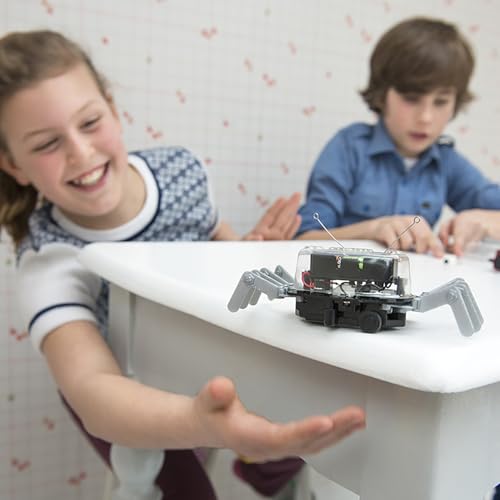 4M 5576 Table Top Robot - DIY Robotics Stem Toys, Engineering Edge Detector Gift for Kids & Teens, Boys & Girls (Packaging May Vary)