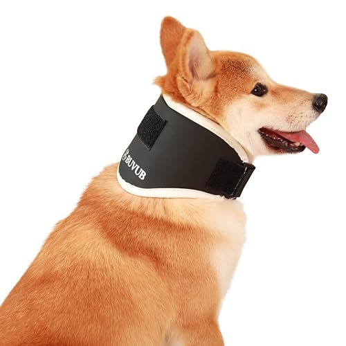 Dog Neck Brace The 15 best products compared Wild Explained