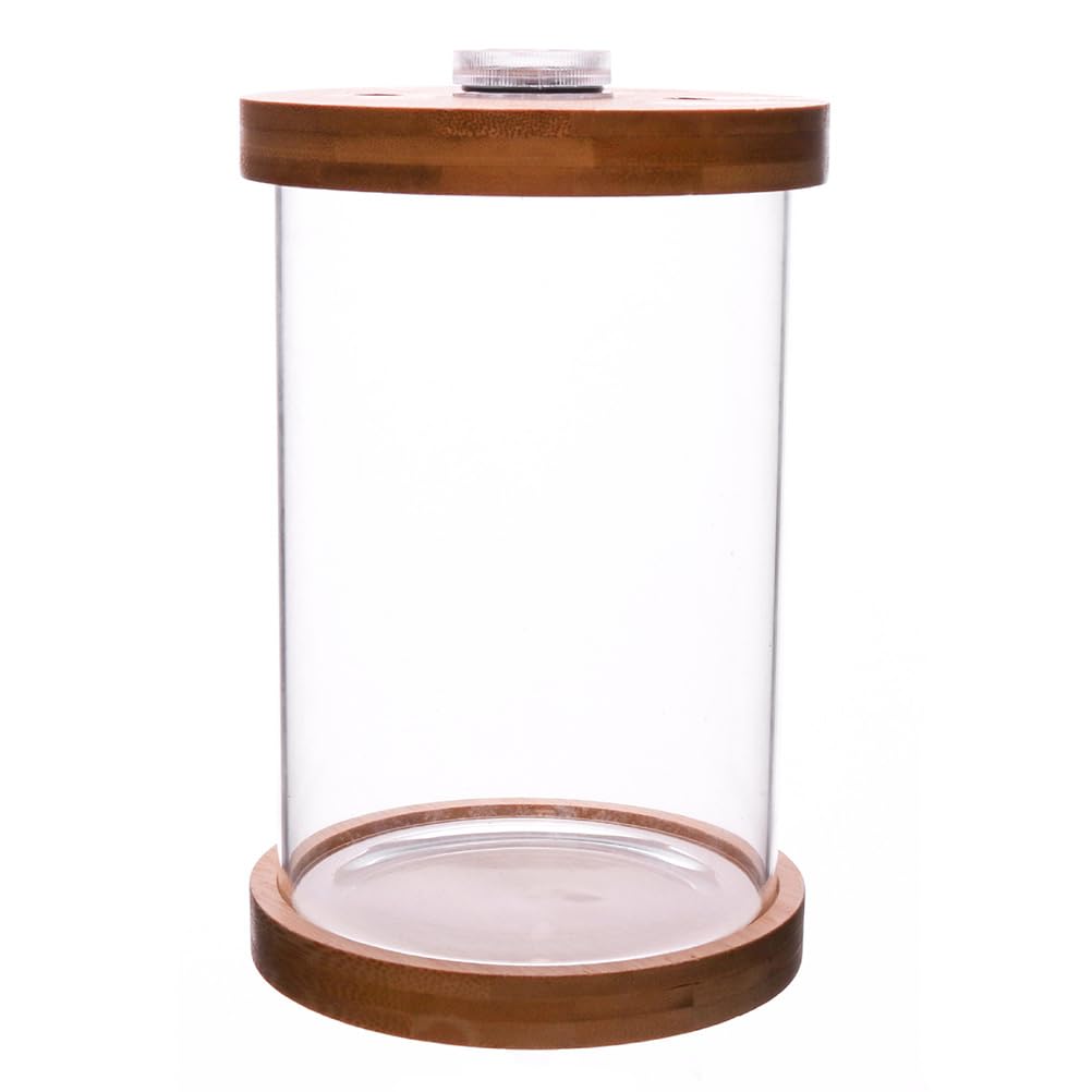 Fish Bowl with LED Lighting Glass Display Dome Cloche Mini Fish Tank Betta Aquarium with Bamboo Base for Home Living Room Bedroom Office Decoration Brown