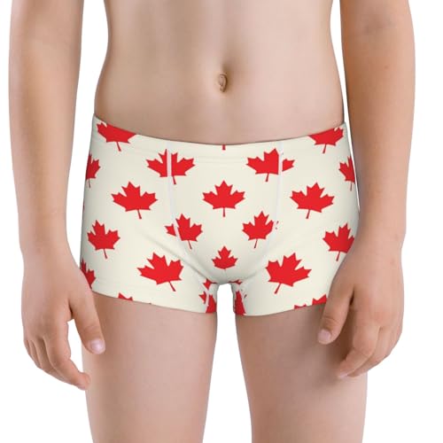 Boys' Cotton Boxer Brief Soft Underwear-Happy Canada Day