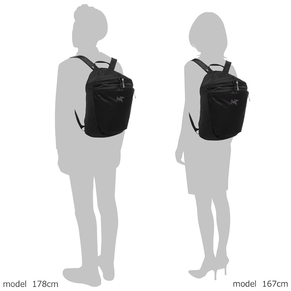 Amazon.co.jp: [アークテリクス] ヒリアド 15 バックパック 15L