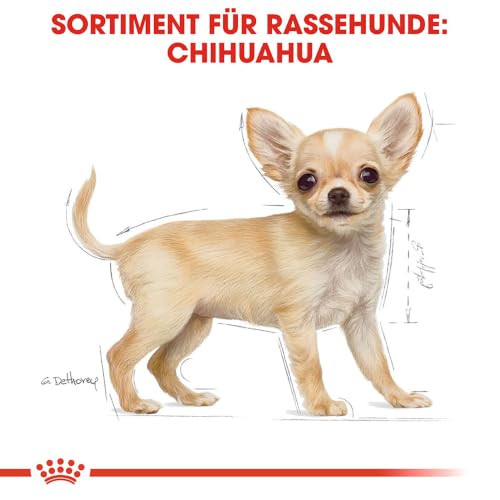 Chihuahua Puppy | Trockenfutter für Welpen | 500 g | Bis zum 8. Monat