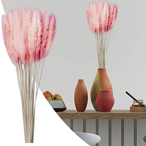 Getrocknetes Pampasgras natürlicher Pampasgras Deko 60-65cm lang Trockenblumen groß Boho Deko Tischdeko Dekozweige für Trockenblumenstrauß echte Dekoblumen Pampas Deko Blumen getrocknete Blumen Cover