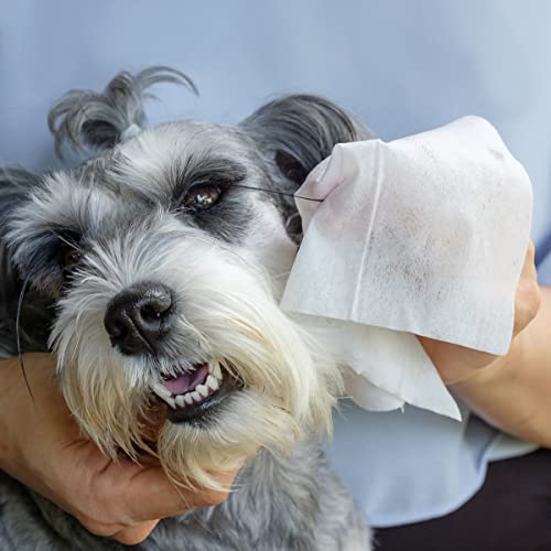 Record Hygiene Wipes for Dogs and Cats 40 Pack - Pet Wipes for Coat Paws, Snout and Eyes, Respect Skin and PH Sugar - Image 4