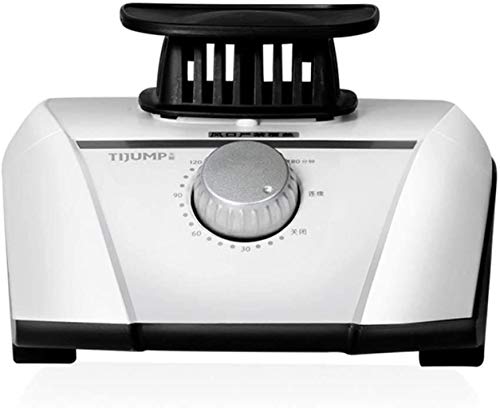 Portable Electric, Household Quick-Drying Dryer, Warm Air Heater with Waterproof Slot, Timer Function, Automatic Power Off When Overheated (Color : Type a 1200w)