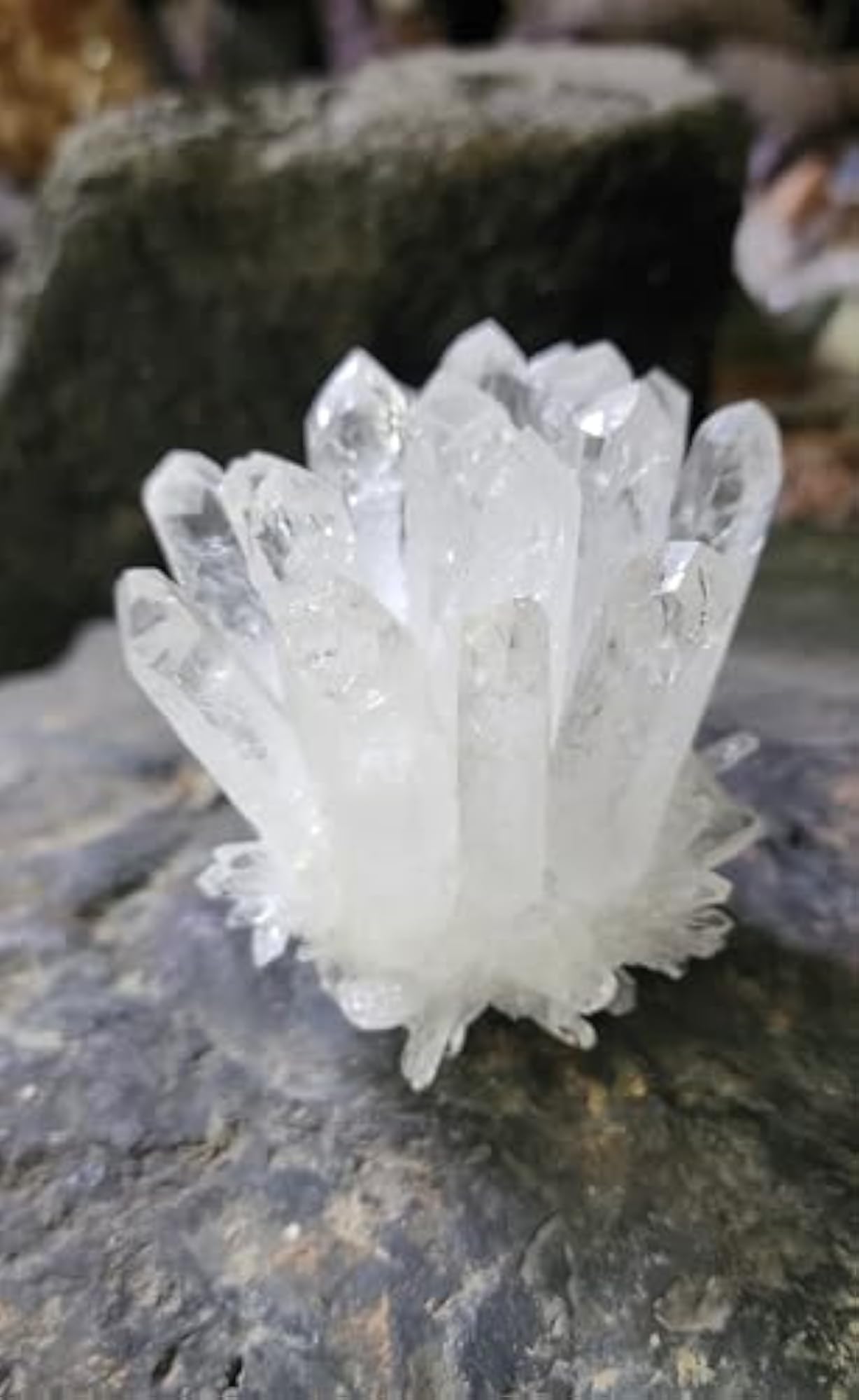 Clear Quartz Crystal Cluster for Serenity and Protection