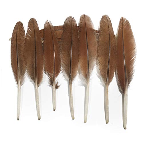 Lampu 5-6Inches Natural Pheasant Feather For Crafts Diy Decoration Collection Tails Feathers Per Pack Of 20 #TOP2