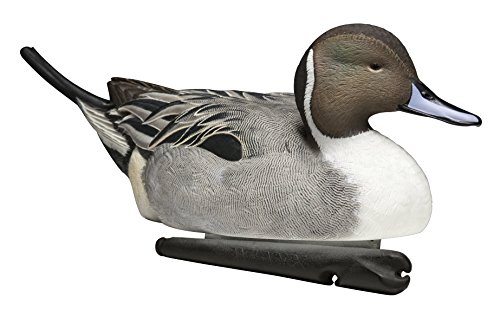 Avian-X Topflight Pintails Durable Ultra Realistic Floating Hunting Duck Decoys, Pack Of 6, Avx8082 #TOP5