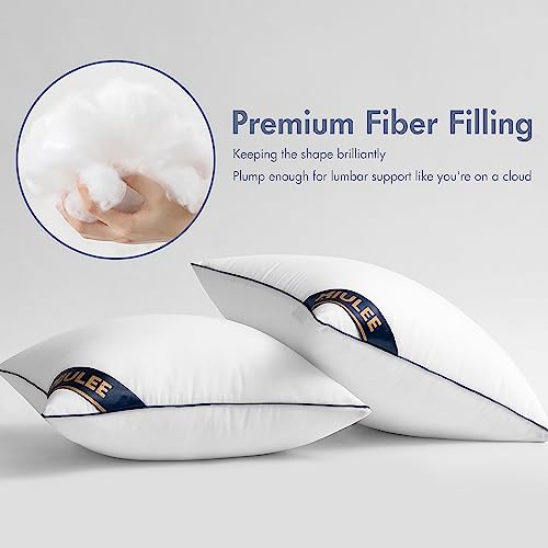 Miulee 2P_RIBBON_PILLOW_INSERTS_18IN 18X18 Pillow Inserts Set Of 2 Throw Pillows 18 Inch Premium Down Alternative Pillow Inserts Decorative Pillow Stuffer thumb #3