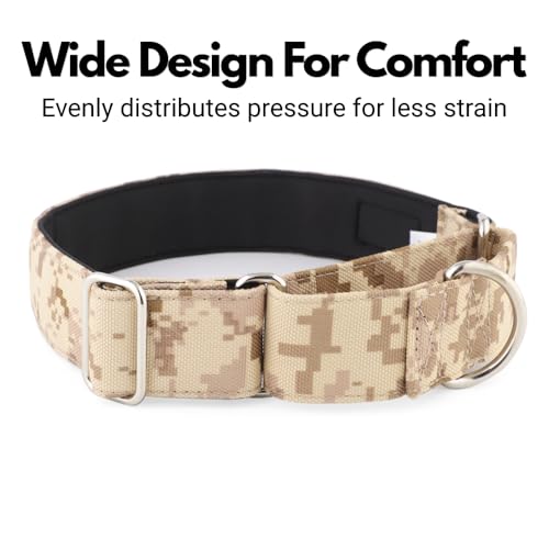 Collier martingale rembourré lévrier whippet lurcher beige M - 6