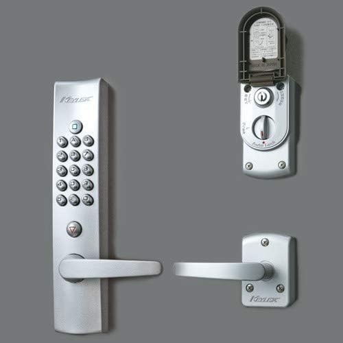 【超希少】カブトガニ　標本　天然記念物 超希少】カブトガニ 標本 天然記念物 超希少】カブトガニ標本天然記念物