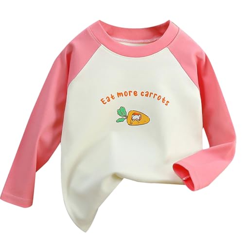 Toddler Girls Boys Long Sleeve Shirts Soft Breathable Cotton Crewneck Tops Kids Cartoon Graphic Fall Clothes