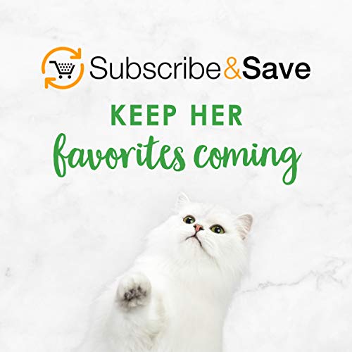 Fancy Feast 050000467150 Purina Fancy Feast Dry Cat Food With Ocean Fish And Salmon thumb #13