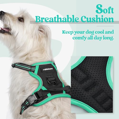 Image of rabbitgoo Dog Harness No Pull with 2 Leash Clips, Adjustable Soft Padded, Reflective Oxford No Choke Pet Vest with Easy Control Handle for Puppy, Black & Turquoise, XS