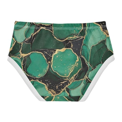 Flower Toddler Girls Underwear 2t Cotton Cute Panties Girl Vivid Emerald Marble Green Ripple Kids Undies Briefs2
