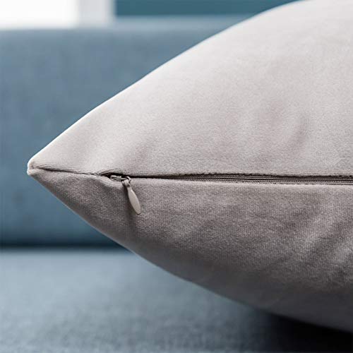 Image of JUSPURBET 12x20 Velvet Lumbar Throw Pillow Covers Set of 2,Champagne | Modern Soft Decorative Cushion Covers with Hidden Zipper for Couch Sofa Bed Living Room Bedroom Home Decor