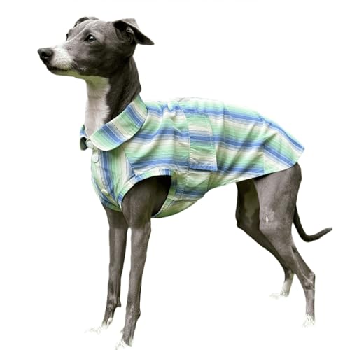 IUOUTG C^ÃO[nEĥ߂̃t@bVNVbNȃXgCvhbOTVc{^ťyʂ̌ċz\ȑ̂ȂEBbybg̎q̃VcA^̑^̂߂̃ybg킢Ă̈ߑ