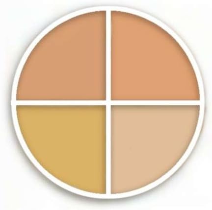 Ben Nye Tattoo Cover-all Wheel - Makeup Kits & Palettes Sk-11