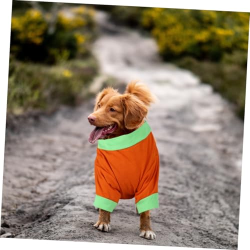 Disfraz Halloween Calabaza para Perro Talla M miniatura 3