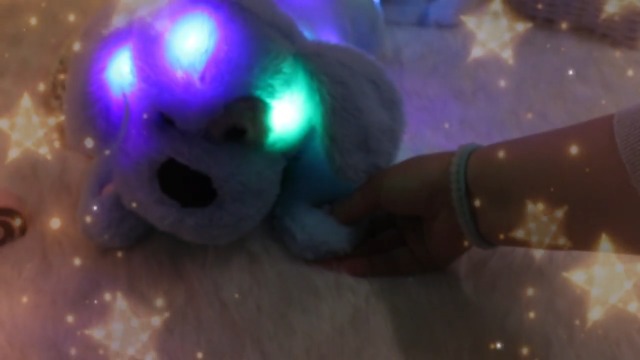 Amazon.com: Hopearl LED Musical Stuffed Puppy Lighting Up Singing
