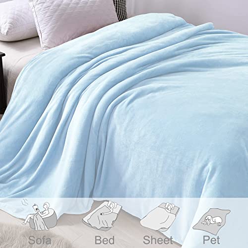 Exclusivo Mezcla Twin Size Flannel Fleece Velvet Plush Bed Blanket As Bedspread, Coverlet, Bed Cover (90X66 Inches, Ice Blue) Soft, Lightweight, Warm And Cozy #TOP3