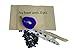 20 Blue Butterfly Pea Plant Flower Seeds