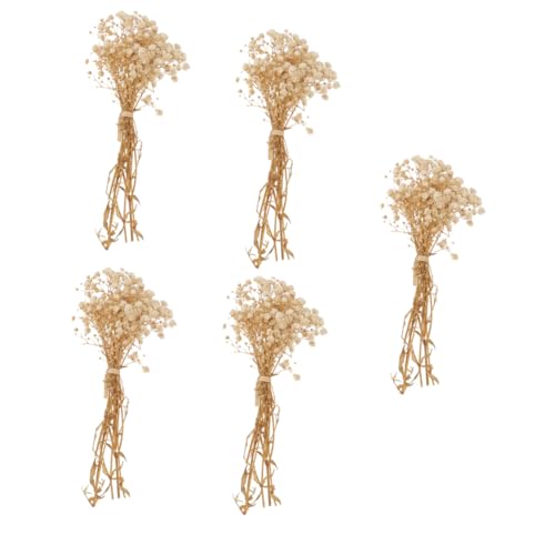 Ramo de 5 flores secas naturales Gypsophila miniatura 1