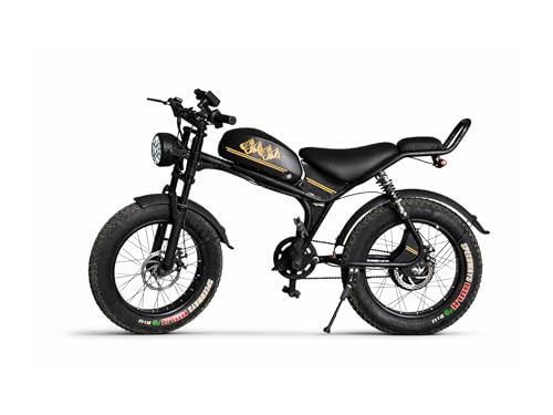 Image of MTNS.ev C93-I | Electric Cycle | 250W 48V BLDC Motor | 12Ah Lithium Battery | 40 km Range | 120 Kg Load | 20 inch Tyre | Black
