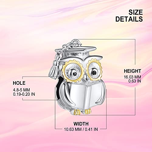 Ningan Owl Doctor Hat Charm For Pandora Bracelet 925 Sterling Silver Bead Charms With Cubic Birthday Anniversary Jewelry Gift Graduation Jewelry Gifts #TOP2