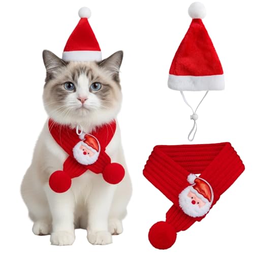 Set de sombrero y bufanda de Santa para perro grande