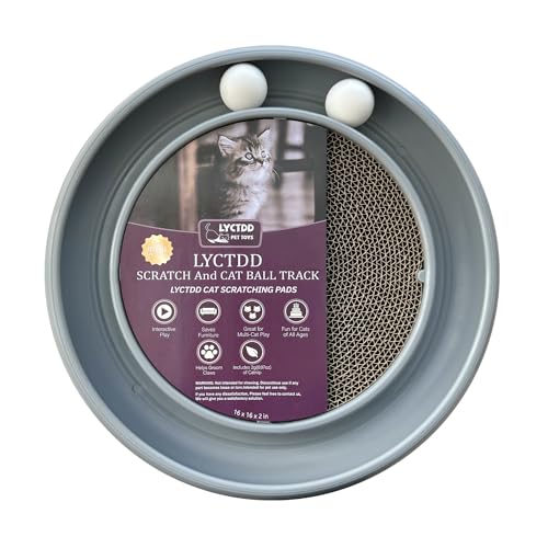 LYCTDD Interactive Cat Ball Track Toy for Indoor Cats Cat Scratching Board & Exercise Set for Bored Indoor Adult and Kitten Mental & Physical Stimulation with Spare Ball to Prevent Loss (Grey)