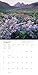 Audubon Desert Wildflowers Wall Calendar 2024: A Visual Delight for Nature Lovers